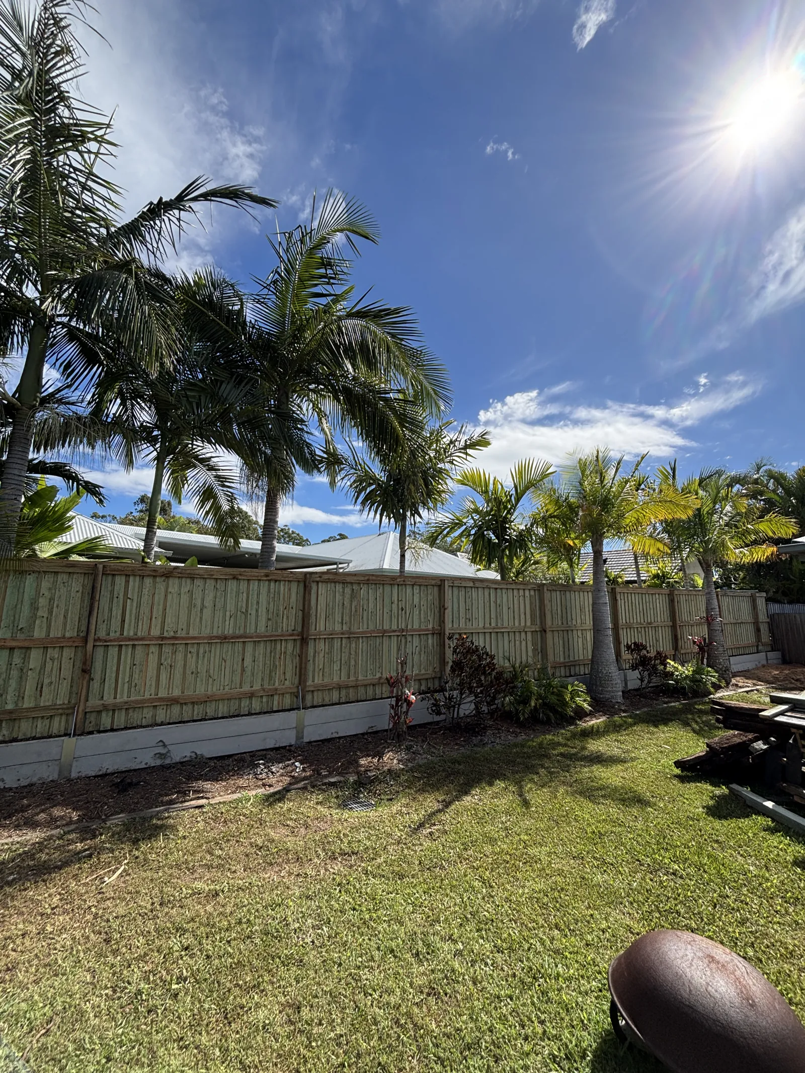 Lapped and capped timber paling fence with palms behind