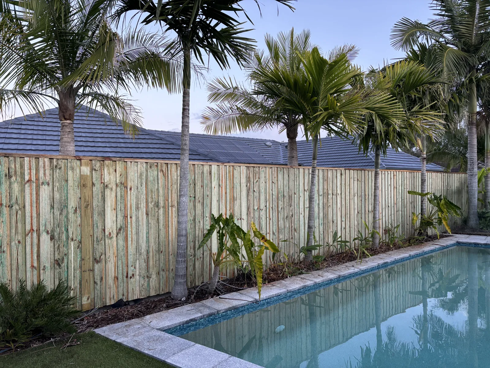 Timber paling fence beside a pool