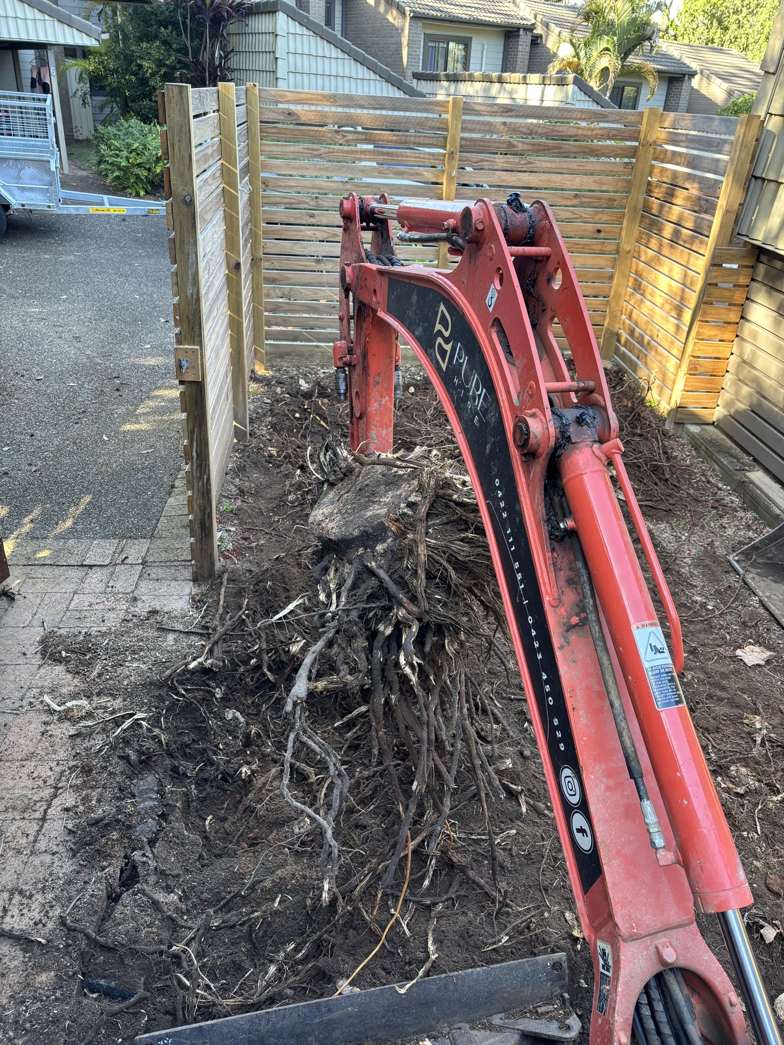 Mini excavator pulling out a tree stump beside a new timber screen fence