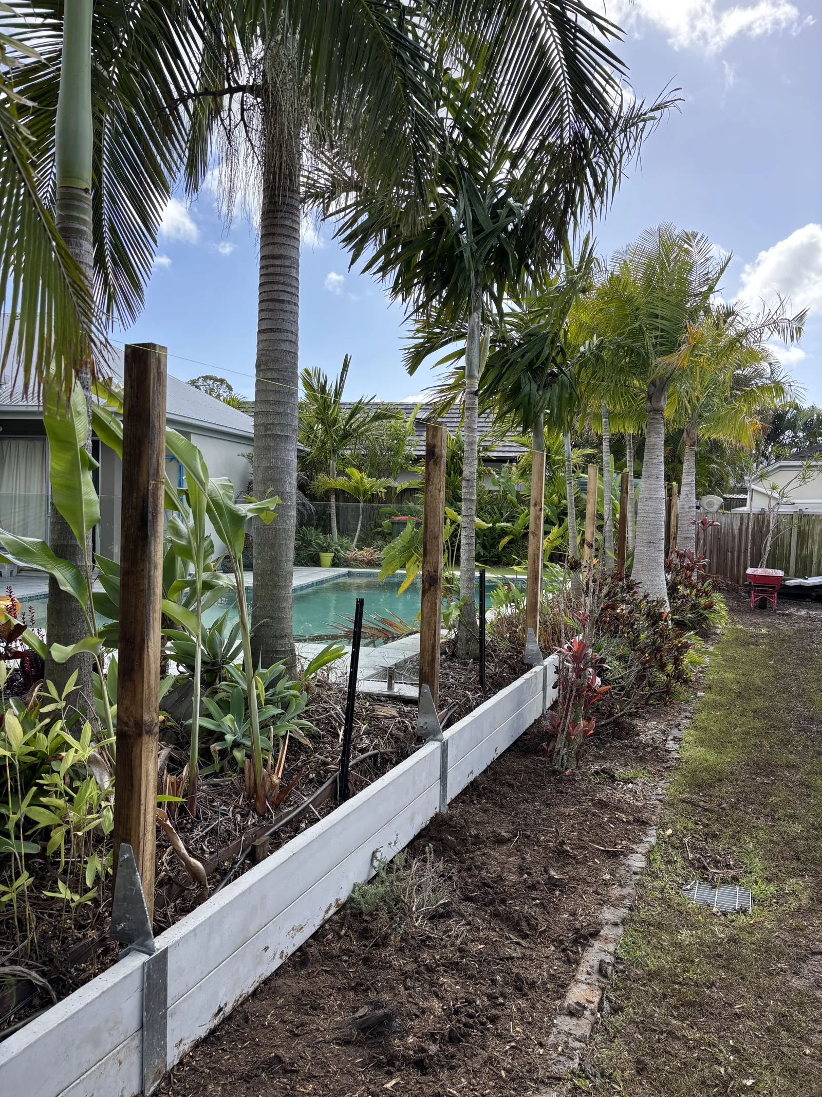 Garden bed behind a low concrete sleeper wall